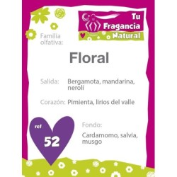 PERFUME FEMENINO Nº52