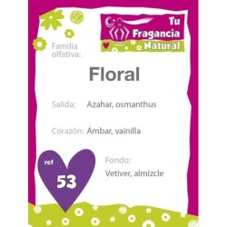 PERFUME FEMENINO Nº53