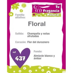 PERFUME FEMENINO Nº437