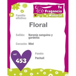 PERFUME FEMENINO Nº453