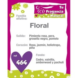 PERFUME FEMENINO Nº464
